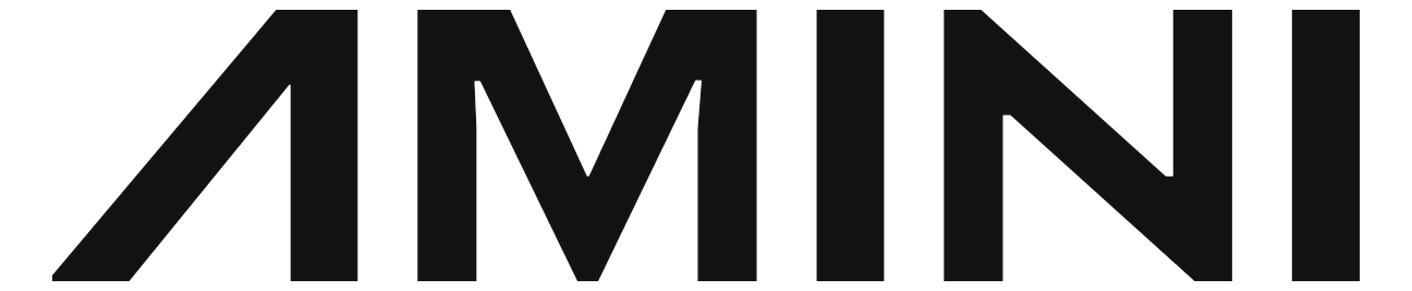 Amini