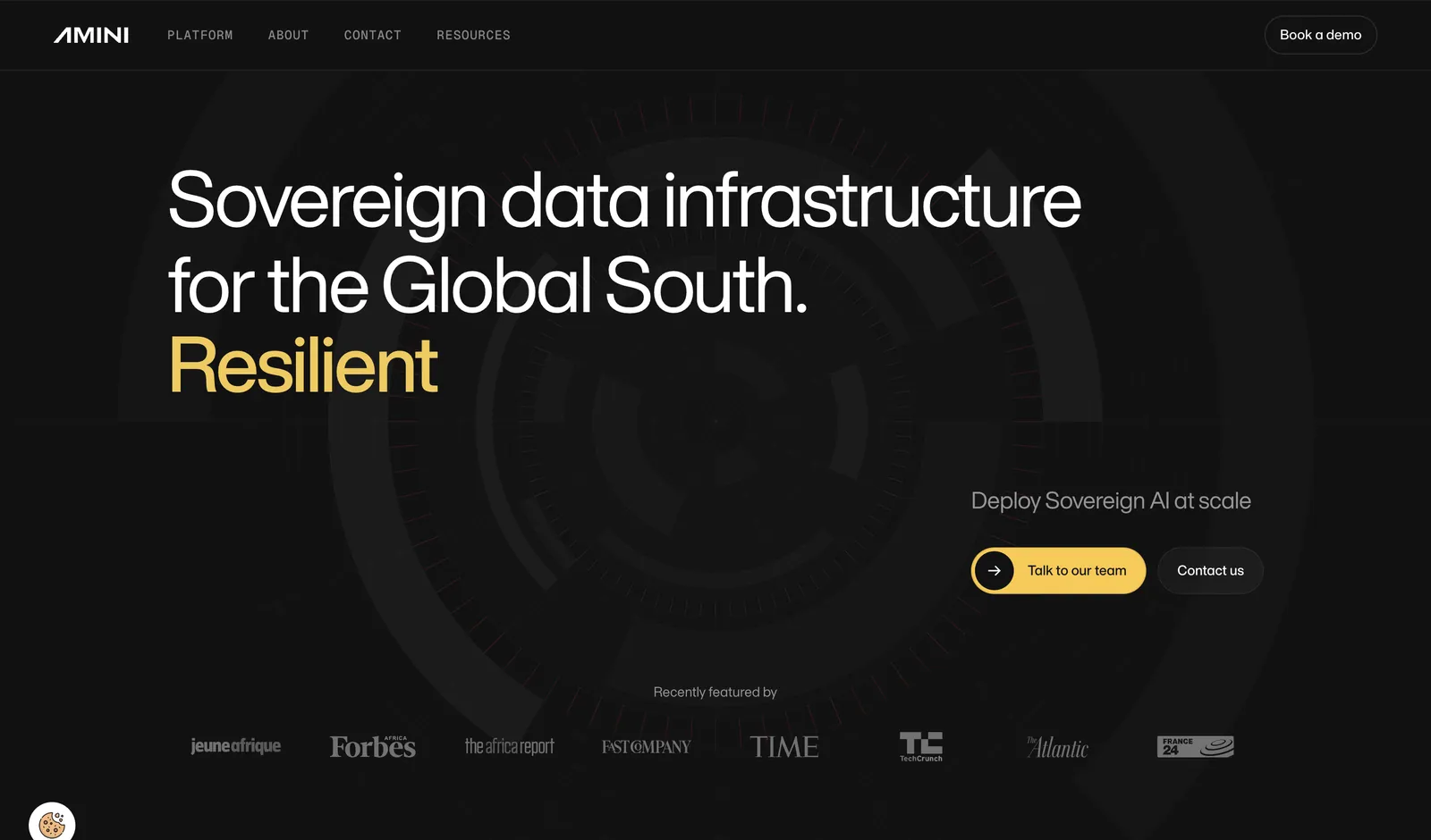 AMINI — Website