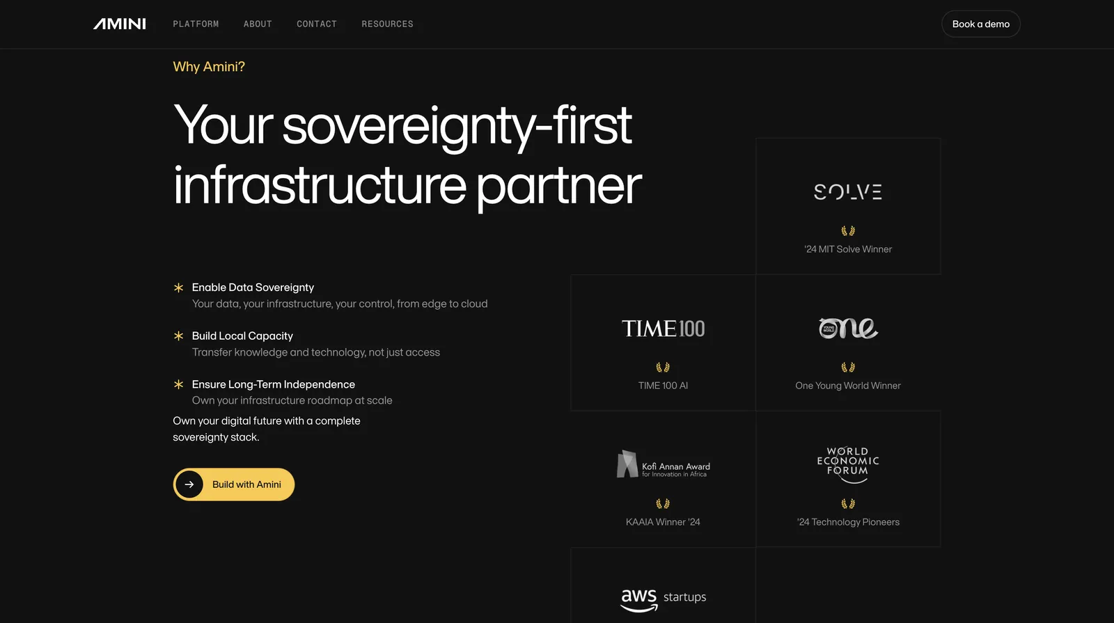 AMINI — Website